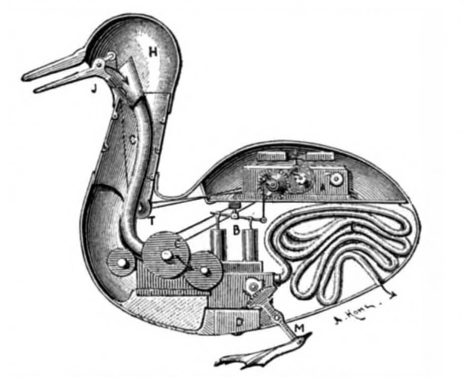 Digesting Duck