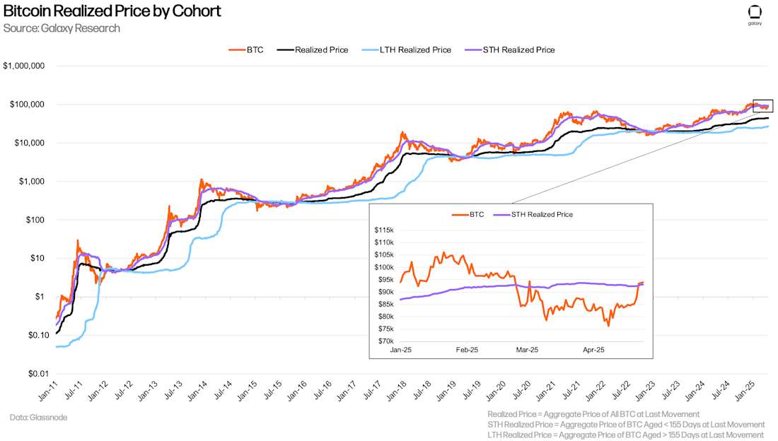 BTC Cost Basis by Holder Cohort