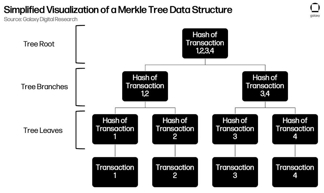 Slide7