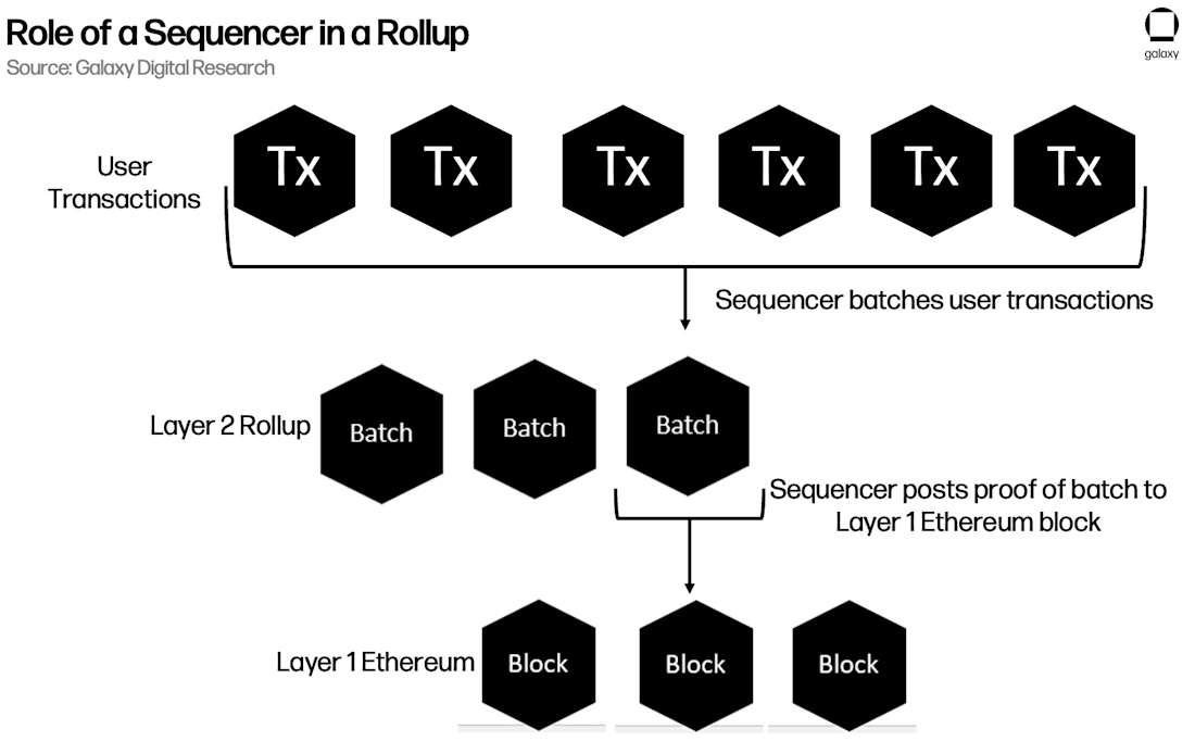 Slide5