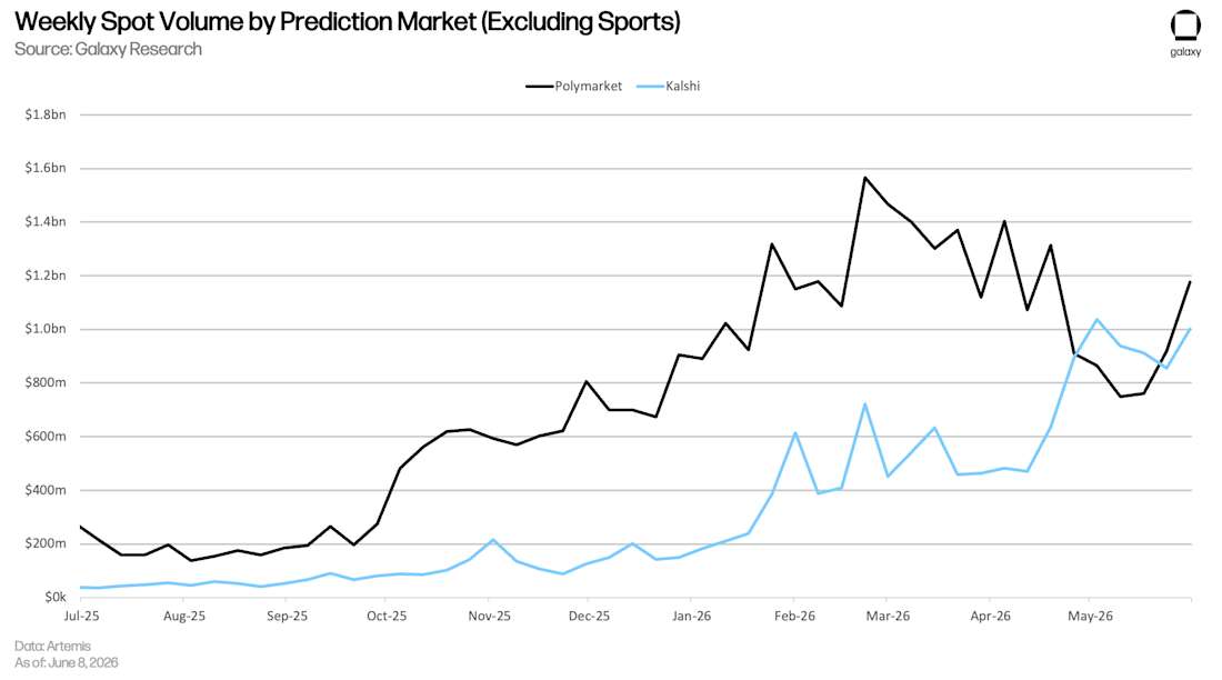 spotvol nosports