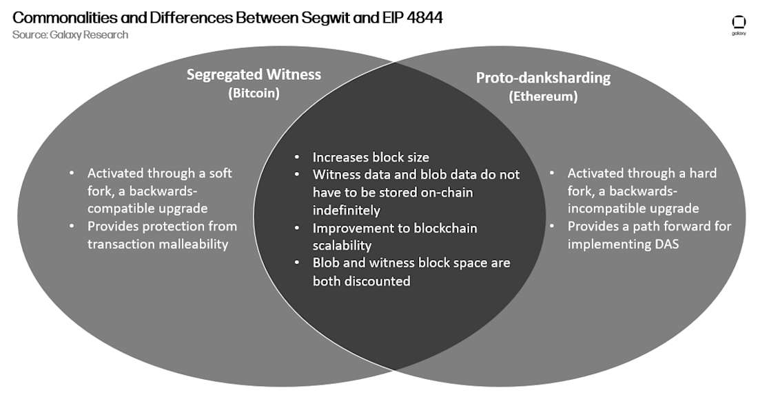 graphic 9